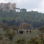 Castel del Monte: excursion in the Alta Murgia National Park - The Sum Up: Who Should Sign Up?