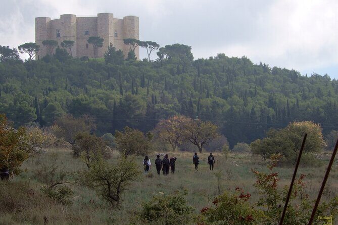 Castel del Monte: excursion in the Alta Murgia National Park - The Sum Up: Who Should Sign Up?