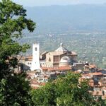 Castelli Romani: an experience between art, culture, food & wine - The Sum Up: Who Is This Tour Best For?