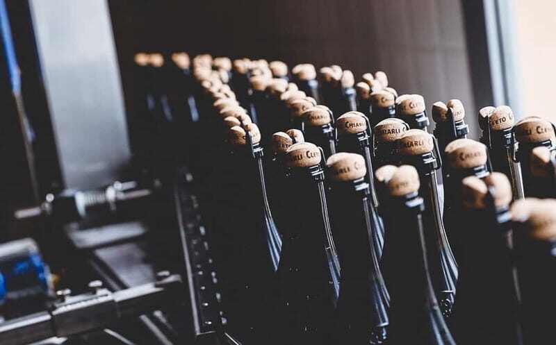 Castelvetro: winery tour and Lambrusco tasting - In-Depth Look at the Itinerary