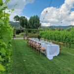 Castiglion Fiorentino: Buccelletti Wine Flight - FAQ