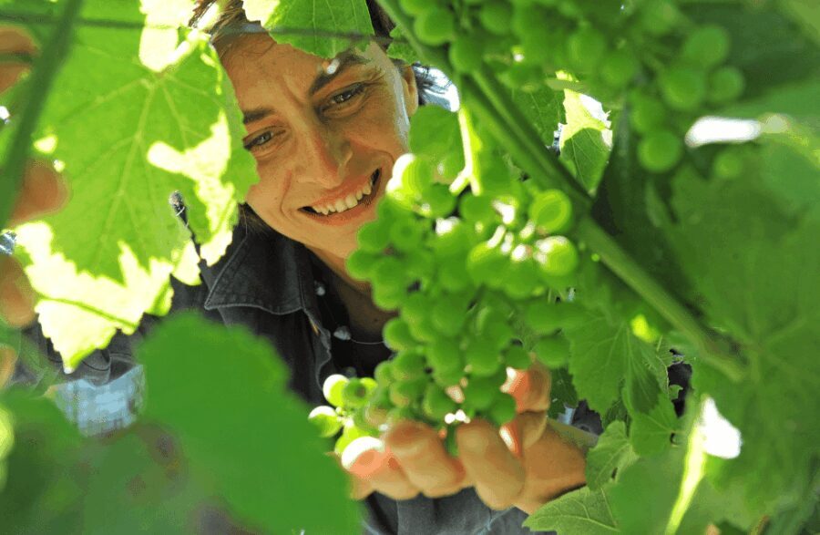 Castle Winery Tour & Tasting near Lake Maggiore - Who Should Consider This Tour?