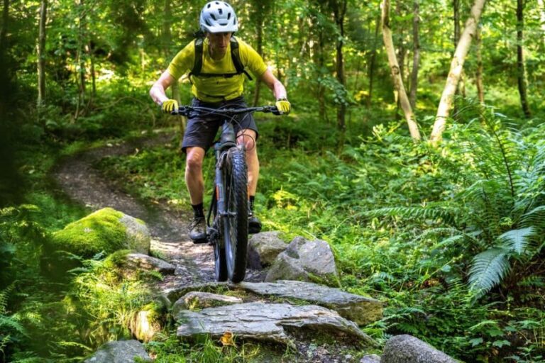 Castlewellan:Electric Mountain Biking Experience - Who Will Love This Tour?