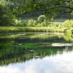 Castro De Viladonga And Birth Of The Miño River From Lugo - What the Reviews Say