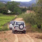 Catalonia: Unique, bespoke wine cellar visits - Who Will Love This Tour?