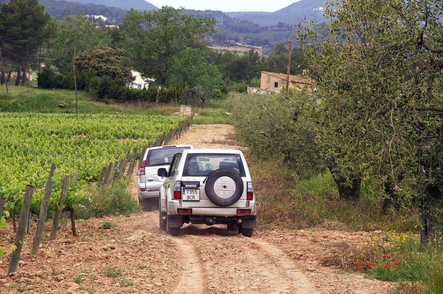Catalonia: Unique, bespoke wine cellar visits - Who Will Love This Tour?