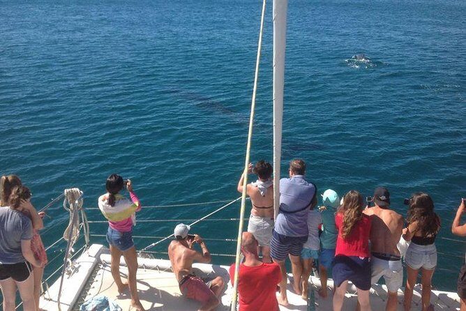 Catamaran Cruise in Lagos - Who Is This Tour Best For?