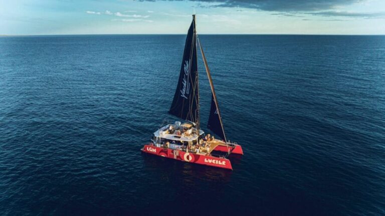 Catamaran Lucile | La Grande Motte Guided tours of the ports - Who This Tour Is Perfect For