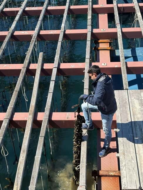 Catamaran trip and visit to the mussel nurseries with a snack - Practical Tips for Booking and Enjoying the Tour