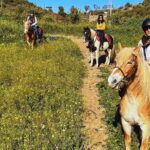 Catania: Guided Horseback Ride in Misterbianco Countryside - The Highlights: What Makes This Tour Special