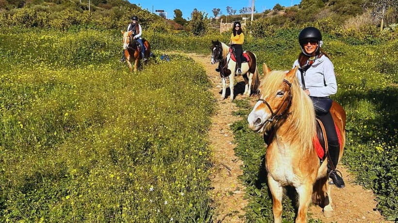 Catania: Guided Horseback Ride in Misterbianco Countryside - The Highlights: What Makes This Tour Special