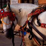 CATANIA TRANSFER to or from TAORMINA, GIARDINI NAXOS or SYRACUSE - Authentic Experiences and Real User Insights