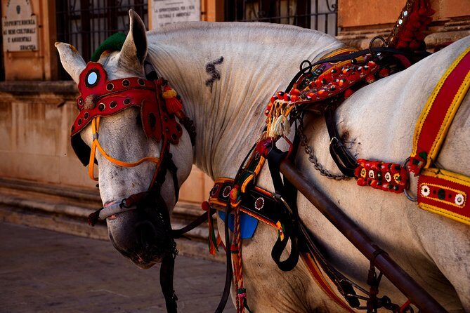 CATANIA TRANSFER to or from TAORMINA, GIARDINI NAXOS or SYRACUSE - Authentic Experiences and Real User Insights