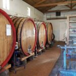 Catania: Wine Tour - Price and Value