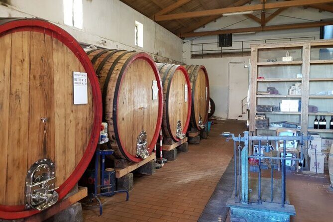 Catania: Wine Tour - Price and Value