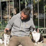 Cats of Athens - Walking Tour - Who Should Consider This Tour?