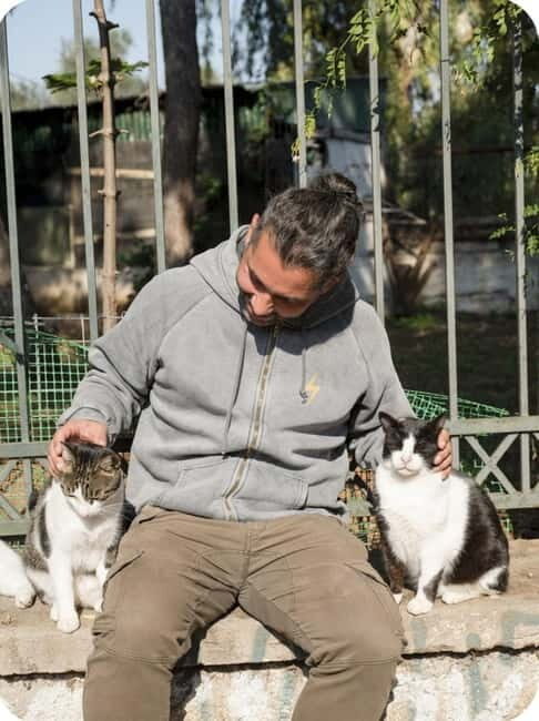 Cats of Athens - Walking Tour - Who Should Consider This Tour?