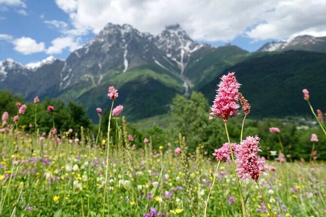 Causacus mountains at Majestic SVANETI and MESTIA from Kutaisi - Transportation and Group Size