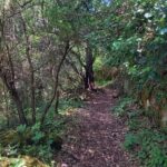 Cavagrande hiking tour - The Sum Up: A Natural Sanctuary Worth Discovering