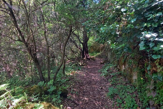 Cavagrande hiking tour - The Sum Up: A Natural Sanctuary Worth Discovering