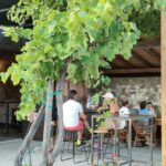 Cavaion: Lake Garda Wine & Food Tasting with Vineyard Tour - The Verdict on Value and Practicalities