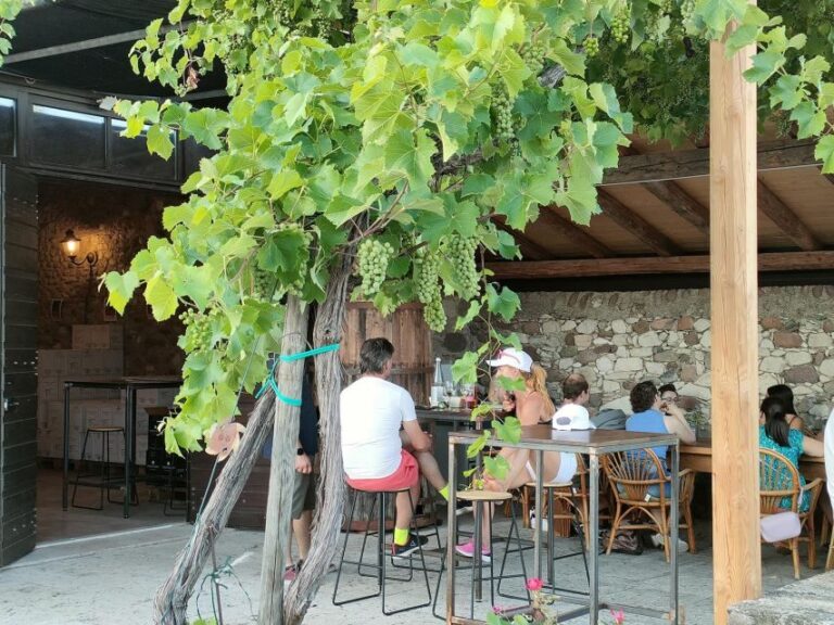 Cavaion: Lake Garda Wine & Food Tasting with Vineyard Tour - The Verdict on Value and Practicalities