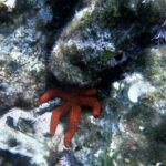 Cave boat tour -All Inclusive - Pricing and Value Analysis