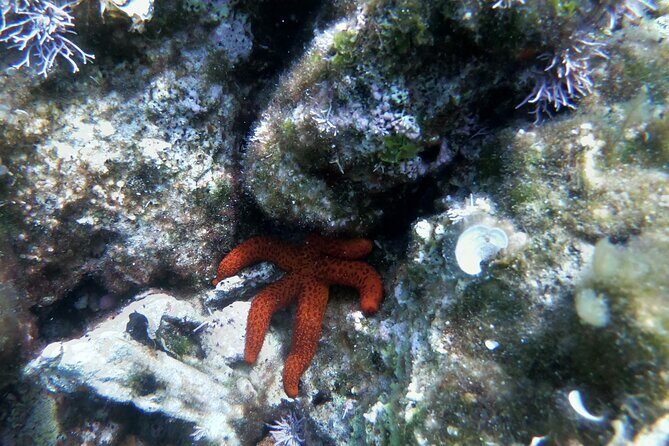 Cave boat tour -All Inclusive - Pricing and Value Analysis