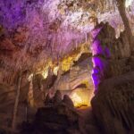 Caves Drach Boat Trip from Alcudia with Return Bus and Tickets - The Experience: Pros and Cons