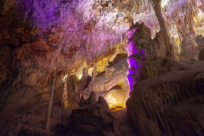 Caves Drach Boat Trip from Alcudia with Return Bus and Tickets - The Experience: Pros and Cons