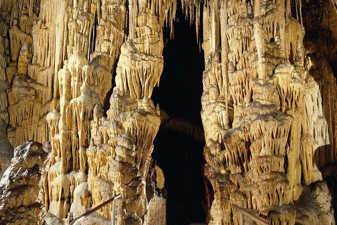 Caves Drach Tour & Return Transfer from Cala Dor-Calas Mallorca - What Travelers Should Know