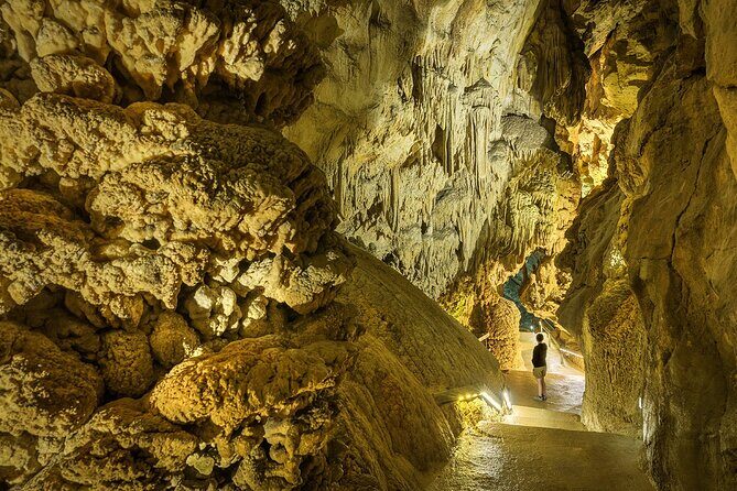 CAVES of CERDON and Prehistoric Leisure Park - Entrance ticket - Who Should Book This Tour?