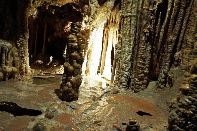 Caves of Genova Admission in Palma de Mallorca - Comparing the Value