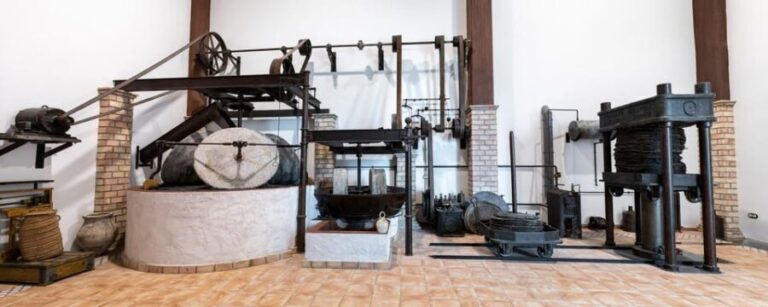 Cazorla: Oleotour - Olive Oil Culture Initiation - Who Will Enjoy This Tour?