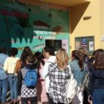 CCVAlgarve Family Ticket | 2 adults + Children - The Value of the Experience