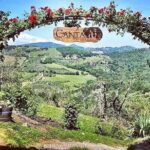 Cellar tour, Tasting of 6 wines, dish combined typical products - Who Should Book This Tour?