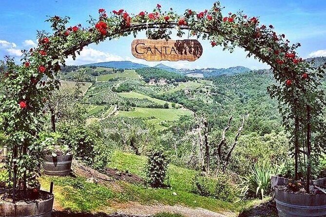 Cellar tour, Tasting of 6 wines, dish combined typical products - Who Should Book This Tour?