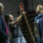 Celorico De Basto: Quinta de Santa Cristina Winery Tour - Who Is This Tour Best For?