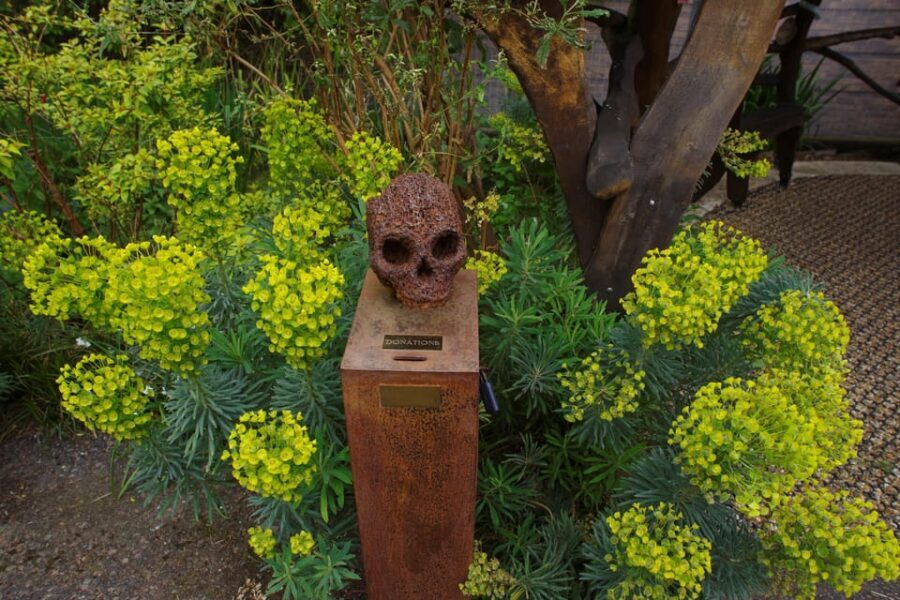 Central London: Bespoke Walking Tours - In-Depth Look at the Tour Itinerary