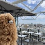 Centre Pompidou: Museum Ticket Entry& 3h Private Guided Tour - Practical Tips for Your Visit