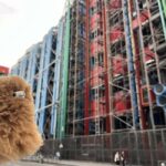 Centre Pompidou: Museum Ticket Entry& 3h Private Guided Tour - Practical Details: What You Need to Know