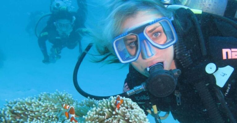 Cesme: Scuba Diving Experience - Why This Tour Offers Great Value