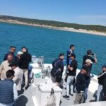 Cetacean Watching Tour - Who Should Consider This Tour?