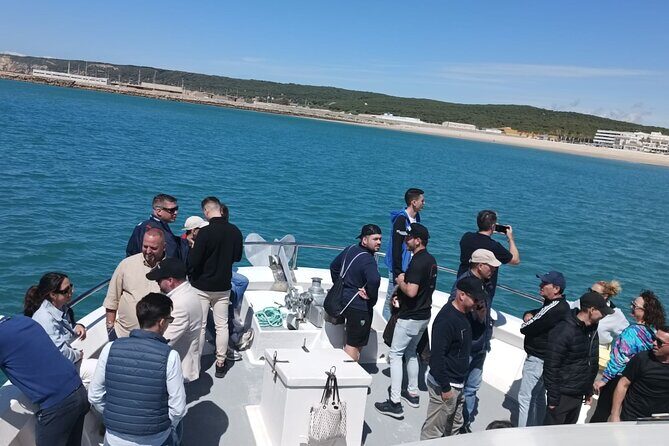 Cetacean Watching Tour - Who Should Consider This Tour?