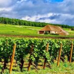 Chablis 20 Exquisite Wines Tasting Trip in Small-Group from Paris - Authentic Experiences: What Sets This Tour Apart