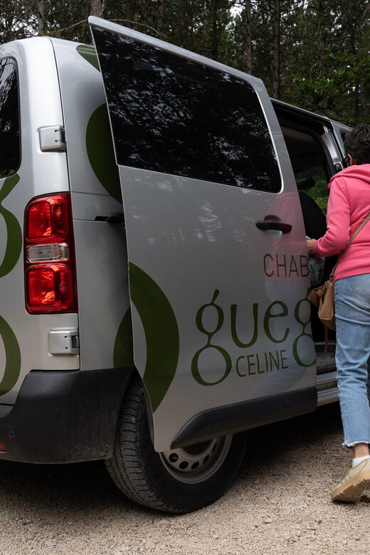 Chablis: Visit of the Grand Cru vineyard - Who Should Book This Tour?