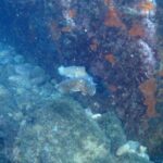 Chalkidiki: Scuba Diving for Beginners in Kassandra - The Itinerary in Detail