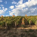 Champagne & Loire Valley Small Group Double Wine Day Tours - What Makes This Tour Stand Out
