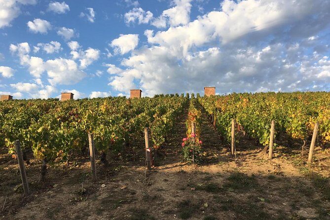 Champagne & Loire Valley Small Group Double Wine Day Tours - What Makes This Tour Stand Out