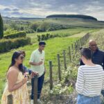 Champagne Munoz Bruneau : Half Day Visit and Tasting - What Makes This Tour Stand Out